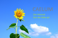 Caelum-summer